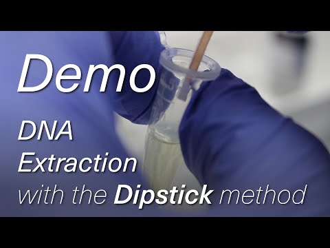 Extracting DNA in 30 Seconds using the Dipstick Method (Demo)