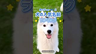 男の子のワンちゃん人気名前ランキング🏆一位の”レオ”は圧倒的人気で、毎年上位にランクインしてるよ😚#犬 #犬のいる暮らし #愛犬 #わんこ #犬バカ部 #ペット#犬好きな人と繋がりたい