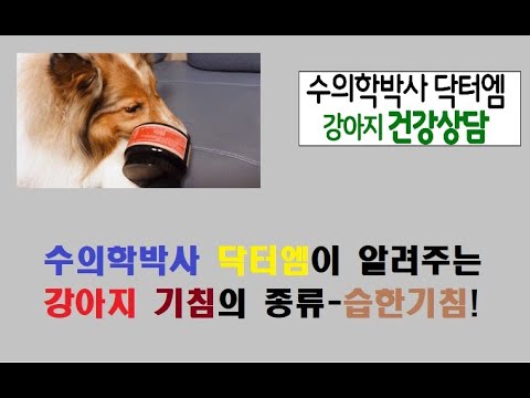 수의학박사 닥터엠이 알려주는 강아지 기침의 종류- 습한기침편