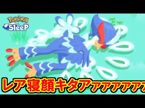 GSD本当にありがとう。【ポケモンスリープ】