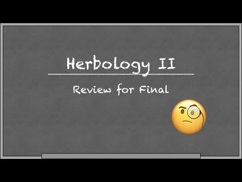 Herbs 2 Review: All Categories (Review for Final)