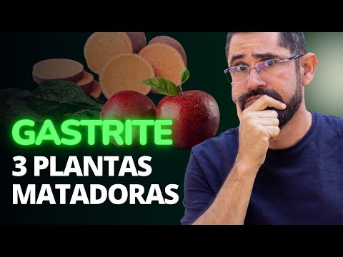 Gastrite e Úlcera: 3 plantas para uma SOLUÇÃO NATURAL