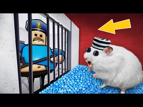 HAMSTER ESCAPES THE ROBLOX PRISON MAZE!