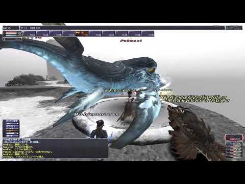 FINAL FANTASY XI パキケト　コルセアソロ（フェイス絆あり）