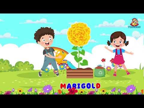 Kids Learning About Flowers: TopKids Educational