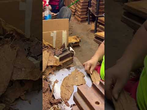 Cigar Maker in New Orleans