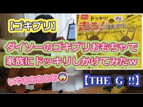 【ゴキブリ】ダイソーのゴキブリおもちゃで家族にドッキリしかけてみたｗ