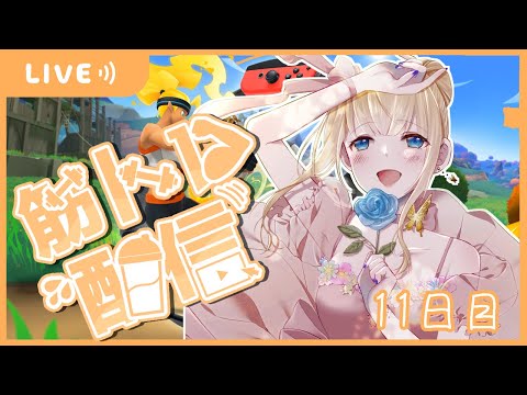 【RFA リングフィットアドベンチャー】夜更かしコラボ前に運動【Vtuber / こはなゆめ】