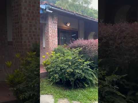 苗栗南庄桂花園🌸三合院風格的一條龍式建築🏘️ 吃飽飯還能到庭園涼亭休息走逛拍拍照❗️空氣中瀰漫著淡淡的桂花香❗️附有露營區🏕️走到南庄老街只要五分鐘❗️#南庄桂花園 #苗栗 #南庄老街