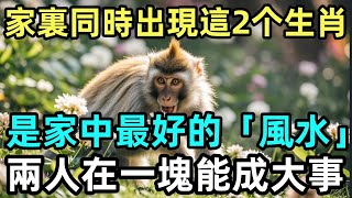 家裏同時出現這2个生肖，就是家中最好的「風水」，一个金錢，一个野心，兩人在一塊成大事！