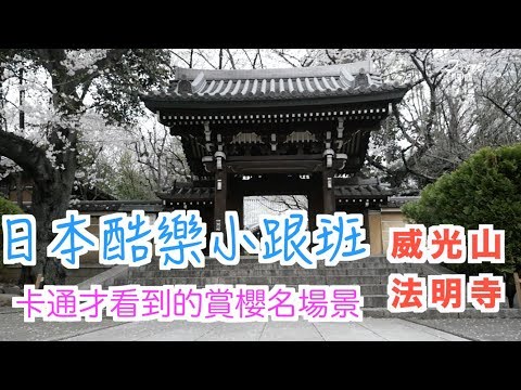 【日本酷樂小跟班】卡通才看到的賞櫻名場景　鬧中取靜的法明寺