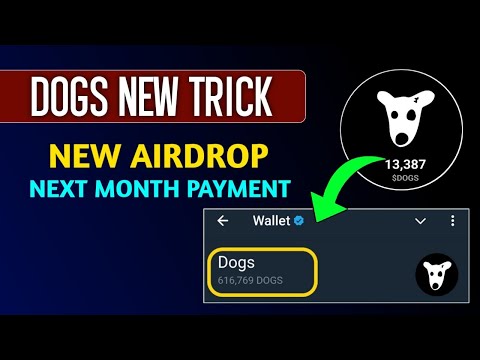 DOGS Airdrop New Trick🔥| Same Airdrop DOGS Next Month Payment #major_airdrop #major