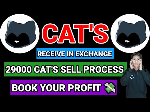 Cat's 29000 Cat's Sell Process Book Your Profit Ladt Chance 💸