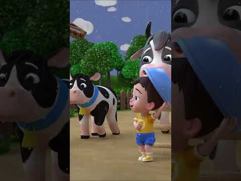 Rain Rain Go Away (Farm Version) | Newborn Baby Songs & Nursery Rhymes #littlelala #rainrain #shorts