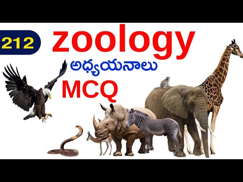 అధ్యయనాలు | zoology | general science & General studies bitbank in telugu - 212