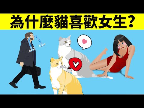 貓為什麼更喜歡女生？怎麼做才能跟貓更親近？