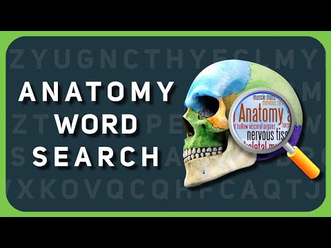 Human Anatomy Word Search Puzzle Game App Download for iOS & iPad