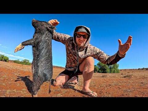 Living Off The Land - Catching Feral Pigs - Shooting, Fishing, Camping, Boating