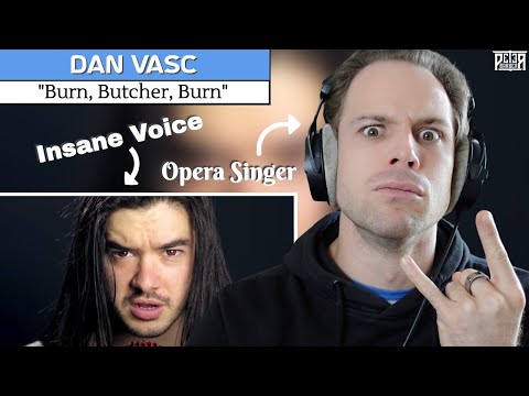 Professional Singer Reaction & Vocal ANALYSIS - Dan Vasc | "Burn Butcher Burn"