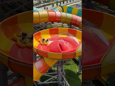 Tornado Wave Waterslide at SplashMania WaterPark, Malaysia