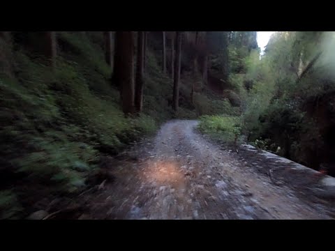 愛宕山(広場→ウジウジ峠→雲心寺林道終点)@221030_1401