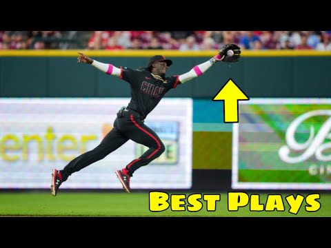 MLB | Best Plays August 2024