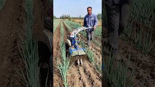 Agriculture Farming #farming #newtechnologyideas #agriculturelife.