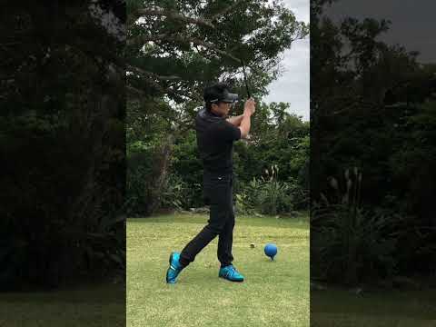 【冬の半袖ゴルフ③】琉球ゴルフ倶楽部にて正面動画⛳️景色も木も凄かった♪#琉球ゴルフ倶楽部#ゴルフ男子 #ゴルフ女子 #ゴルフ練習場 #ピーズリンクス#沖縄ゴルフ#絶景#凄い木#半袖ゴルフ#良い旅