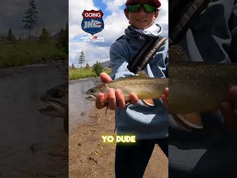 Catching NATIVE Trout in Colorado!