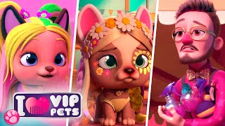 🌈 PERFECT EPISODES 👌 VIP PETS 🌈 HAIRSTYLES 💇🏼‍♀️ Full Episodes ✨ CARTOONS for KIDS in ENGLISH