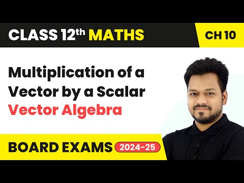 Multiplication of a Vector by a Scalar - Vector Algebra | Class 12 Maths Chapter 10 | CBSE 2024-25