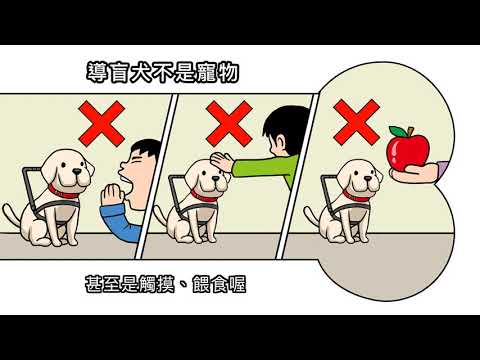 [動畫] 導盲犬小哉問