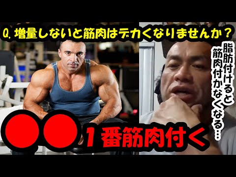 【山岸秀匡】Q&A 増量しないと筋肉はデカくなりませんか？『山岸秀匡切り抜き』