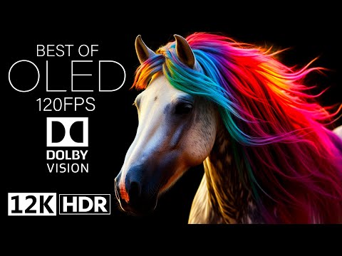 Dolby Vision 12K HDR 120fps on EPIC OLED - Unbelievable Quality