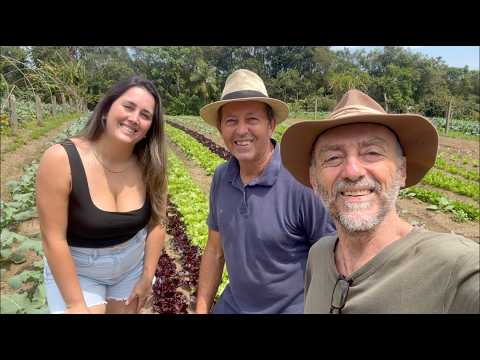 A HORTA ORGÂNICA DO GLAICO - PAULO LOPES SC