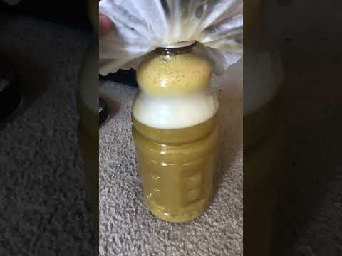 Pineapple Wine Making (Am I Doing Something Wrong?) #shorts #homebrew #winemaking #pineapplerecipes