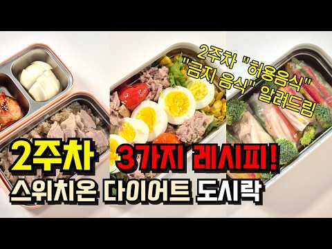 이렇게 해보세요! 2주차 스위치온 다이어트 도시락 🥗🥗 Ι 직장인 아내 도시락