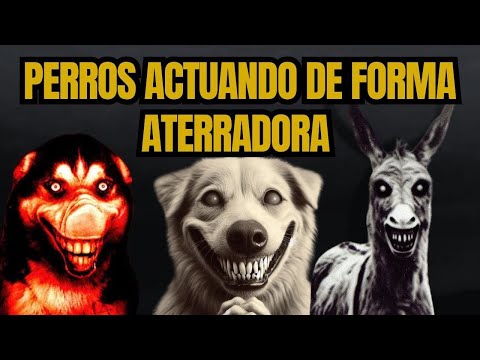 "Cuatro Historias de Terror Canino: Pesadillas en la Noche"