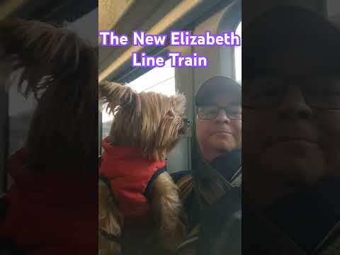 The New Elizabeth Line Train  #travel #elizabeth #elizabethline #train #transport