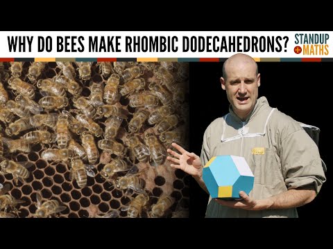 Why Do Bees Make Rhombic Dodecahedrons?