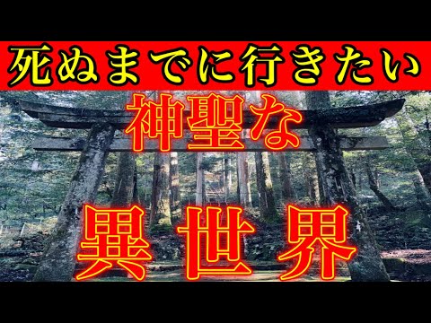 ⚠️超強力な光のエネルギーを放つ異世界のパワースポット⚠️『瀧神社』