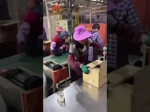 Smokeless Mosquito Coil Pick Machine | Mosquito Coil Making Machine