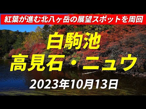 白駒池 → 高見石 → ニュウ 周回コース 紅葉が進む北八ヶ岳の展望スポットの素晴らしい眺望に大満足 高見石小屋名物あげパンは全5種類賞味 2023年10月13日