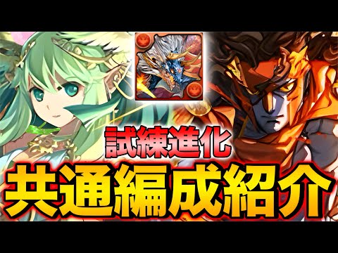 【試練進化】アレスとセレスが試練進化！シヴァドラ共通編成で最強キャラを作ろう！！【パズドラ】