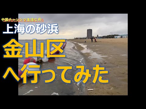 【上海情報】上海の砂浜　金山区へ行ってみた