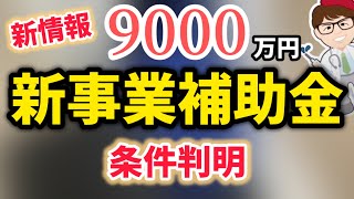 【新情報】新事業進出補助金・詳細情報判明・中小企業新事業進出促進事業【中小企業診断士・行政書士 マキノヤ先生】第2019回