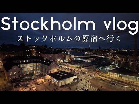 ストックホルムVlog🇸🇪1番イケてる街(たぶん)に行ってきた