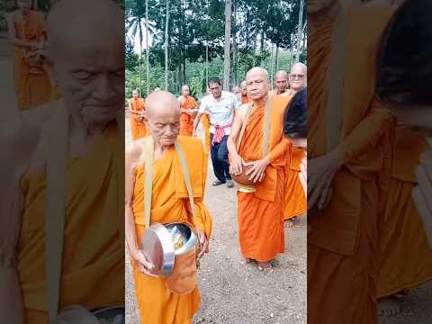 ทำบุญตักบาตรพระภิกษุสงฆ์จำพรรษา วัดพิกุล นครศรีฯ | Local temple | South of Thailand