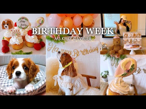 🐶👩9才の誕生日を迎えるキャバリアの4日間の記録【Birthday Week Vlog】