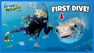 KIDS scuba dive with PUFFERFISH, LOBSTERS and EELS!